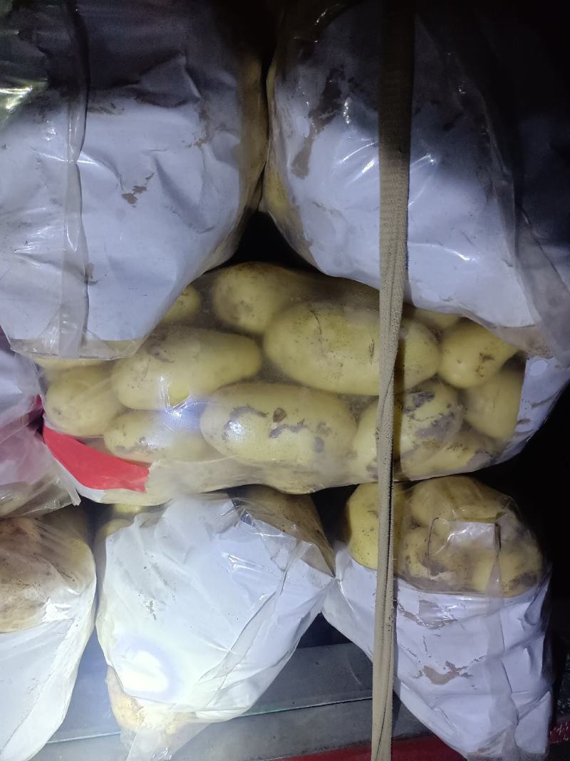 滕州新土豆供应