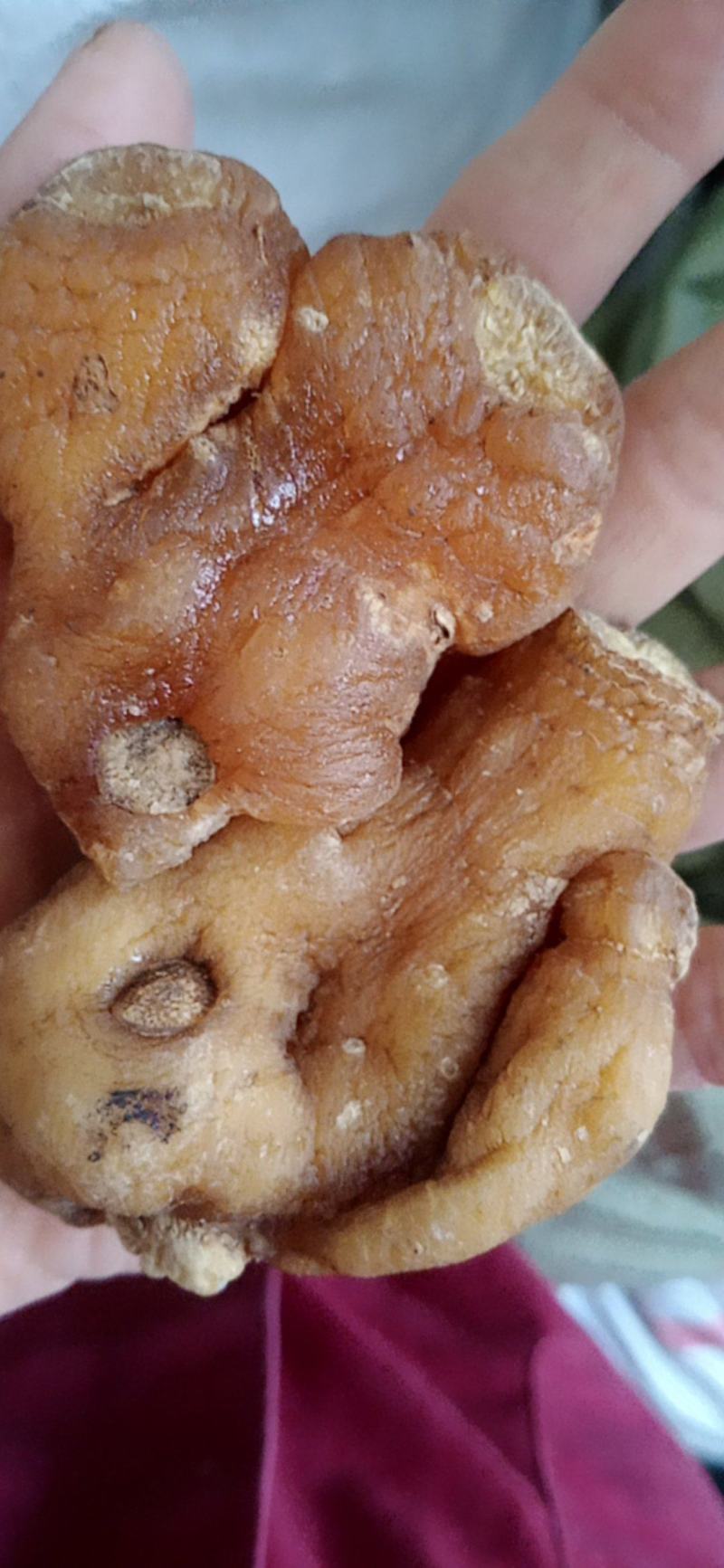 黄精，黄精片，制黄精，九蒸九晒黄精，中药材批发