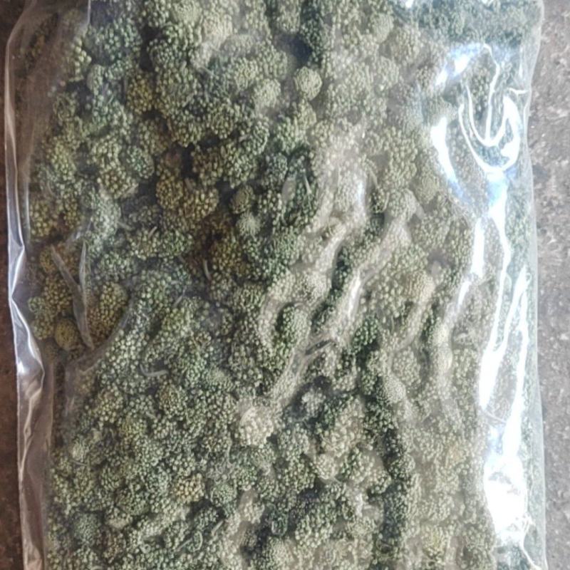 三七花