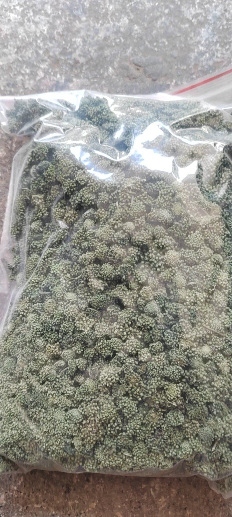 三七花