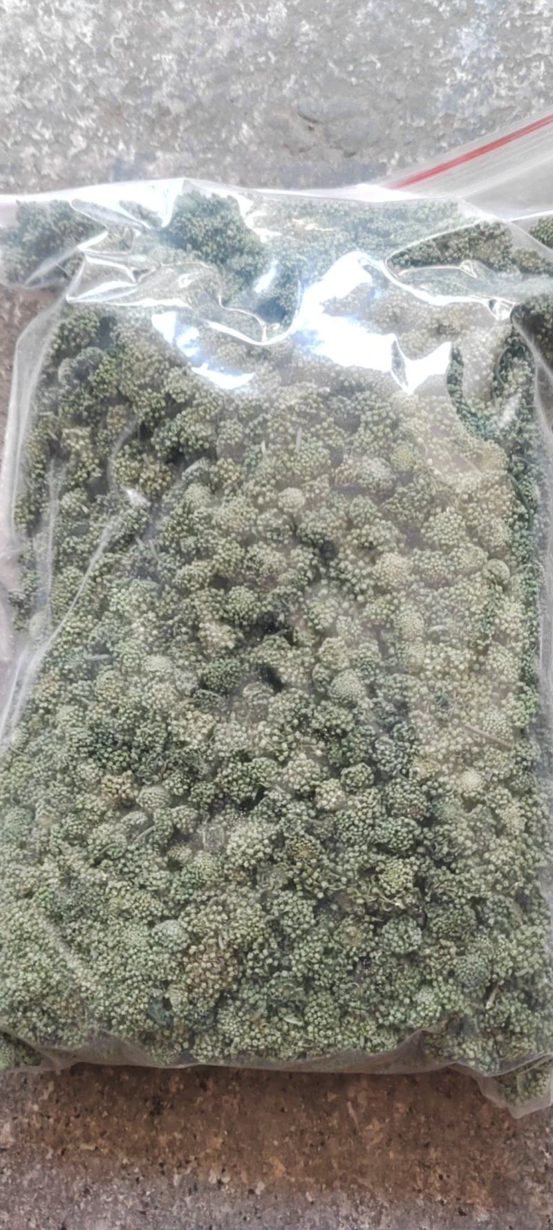 三七花