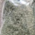 三七花