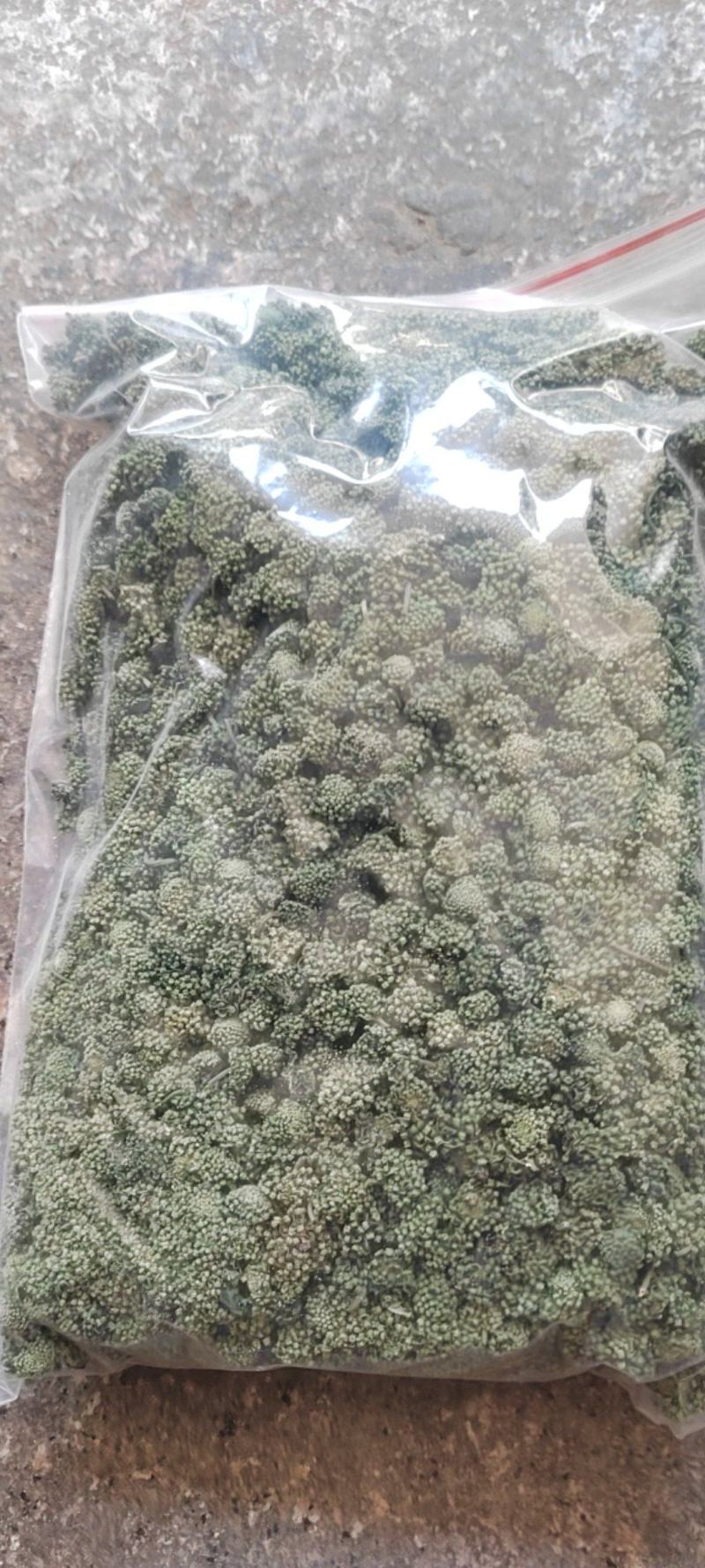 三七花