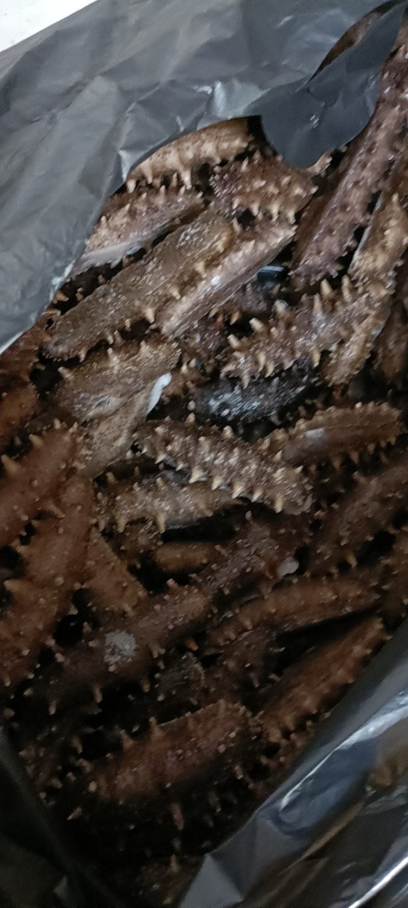 冷蒸鲜食海参
