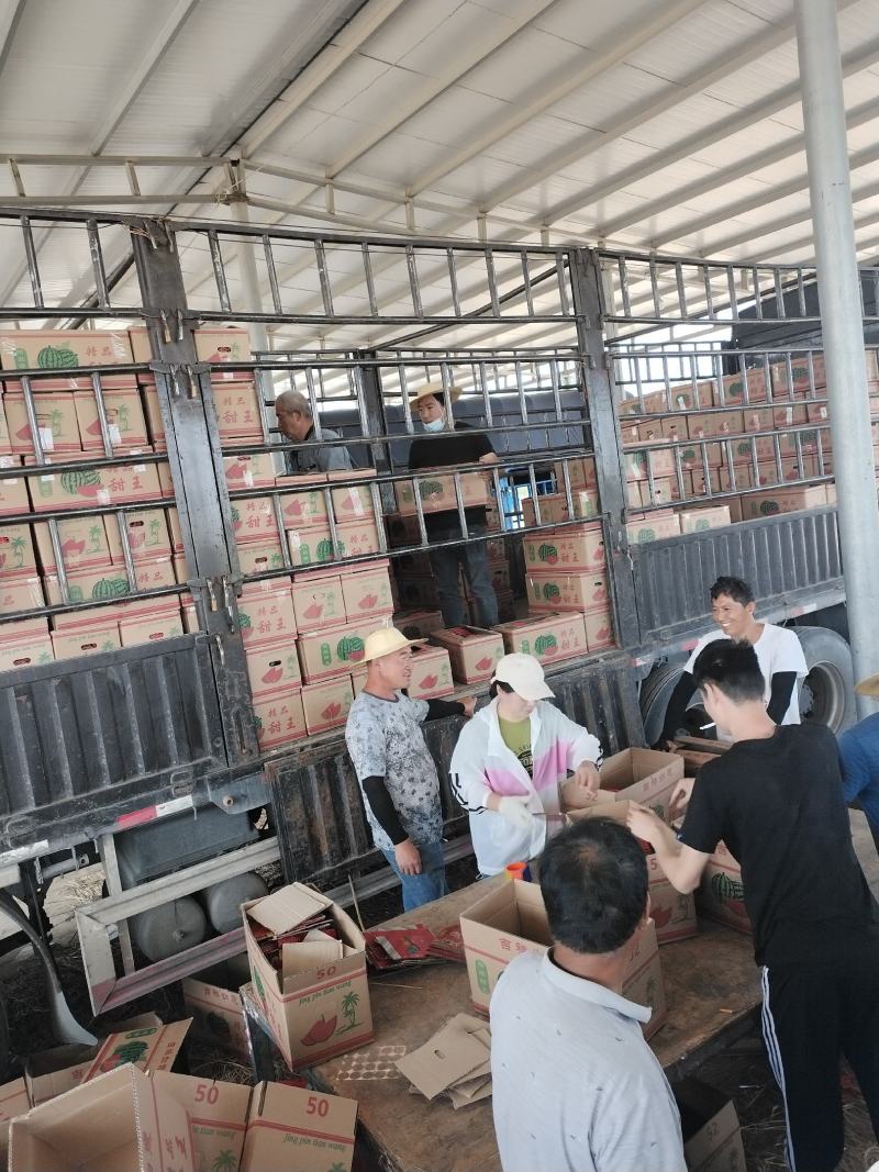 精品甜王包熟，对接电商市场，原产地保质保量