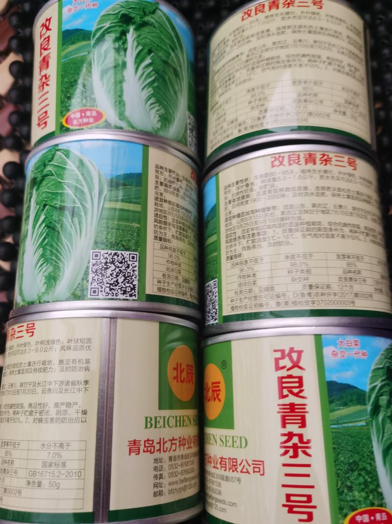 改良青杂三号50g/桶精品大白菜品种