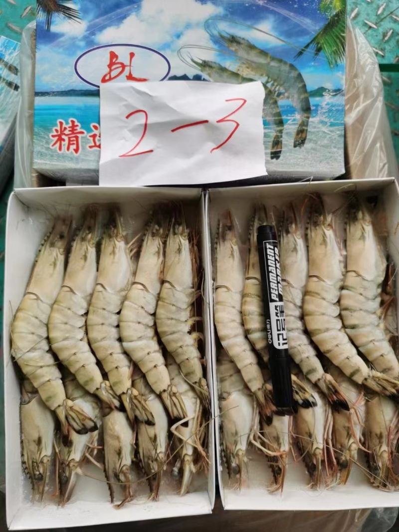 虾