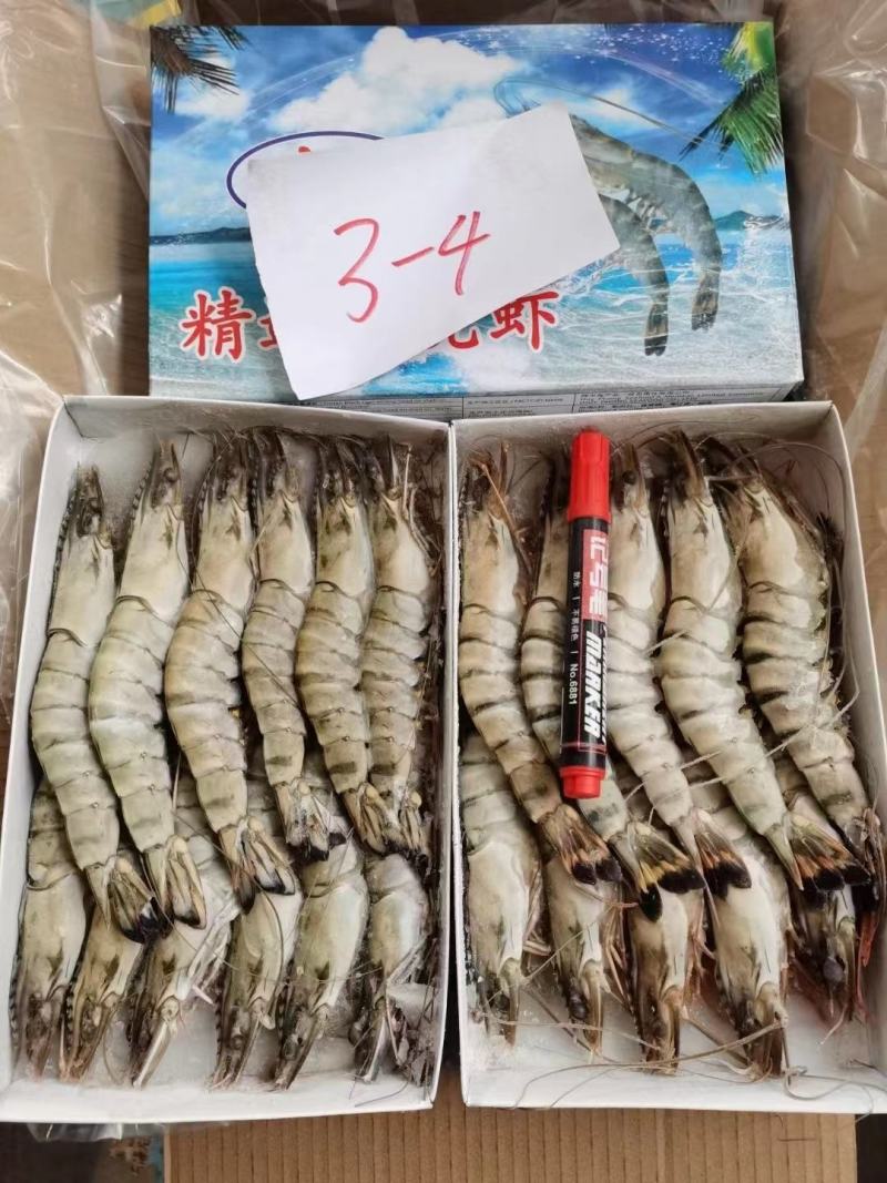 虾