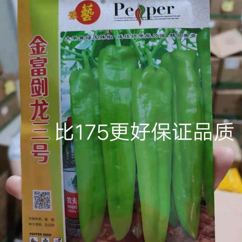 黄绿皮辣椒种子金富剑龙三号耐热耐低温抗病大果顺直高产
