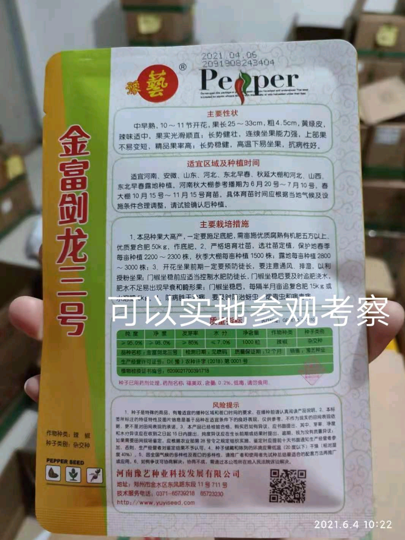 黄绿皮辣椒种子金富剑龙三号耐热耐低温抗病大果顺直高产