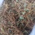 一支箭