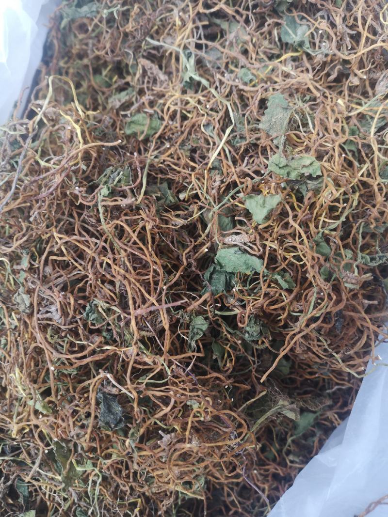 一支箭