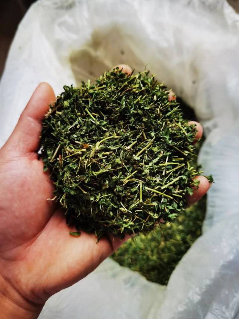 护肝茶