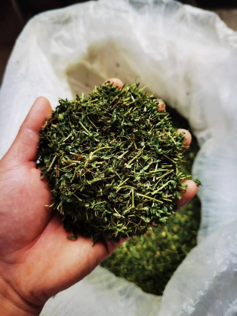 护肝茶