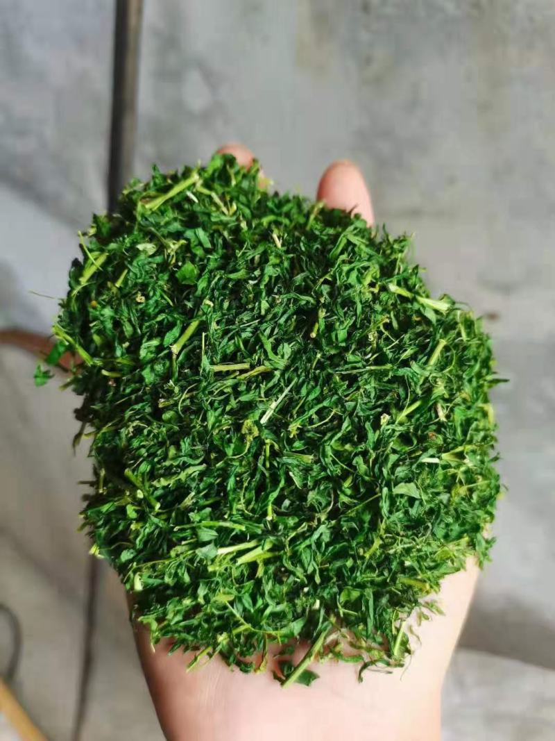 护肝茶