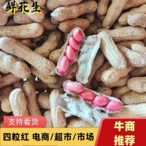 精品鲜花生，四粒红，大果，品种多，直供全国商超，市场量大