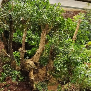 贵州小