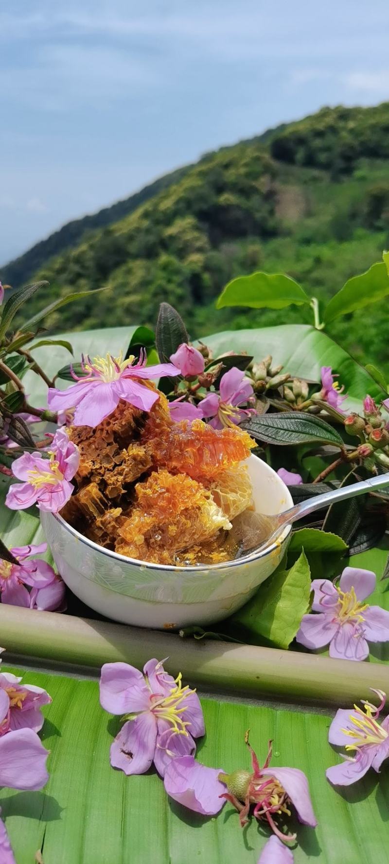 云南临沧高山野生蜂蜜，有结晶，有春蜜，一斤装，品质保证。