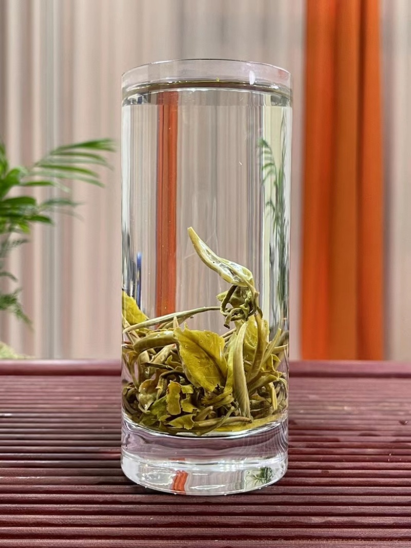 新茶茉莉花茶批发白龙珠白凤珠花香浓郁耐泡支持代发
