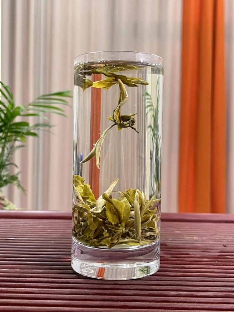 新茶茉莉花茶批发白龙珠白凤珠花香浓郁耐泡支持代发