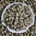 新茶茉莉花茶批发白龙珠白凤珠花香浓郁耐泡支持代发