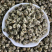 新茶茉莉花茶批发白龙珠白凤珠花香浓郁耐泡支持代发