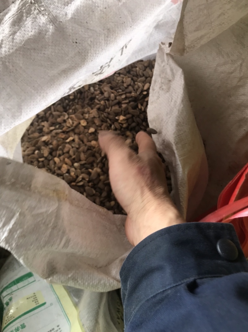 中药材瓜蒌仔18一斤5斤包邮需要留言