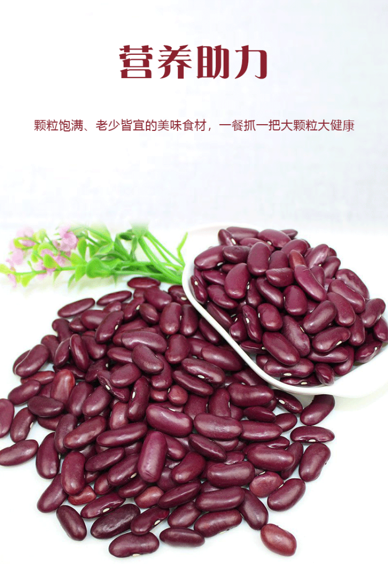 云南大红豆5红腰豆红芸豆红芸豆五谷杂粮豆做酸菜红豆