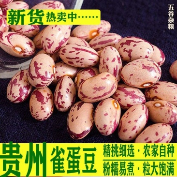 贵州今年新货雀蛋豆子农家自产花豆类云南金豆四季豆花生豆