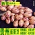 贵州今年新货雀蛋豆子农家自产花豆类云南金豆四季豆花生豆