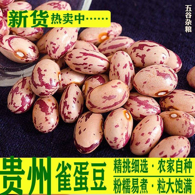 贵州今年新货雀蛋豆子农家自产花豆类云南金豆四季豆花生豆