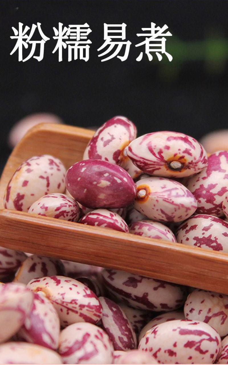 贵州今年新货雀蛋豆子农家自产花豆类云南金豆四季豆花生豆