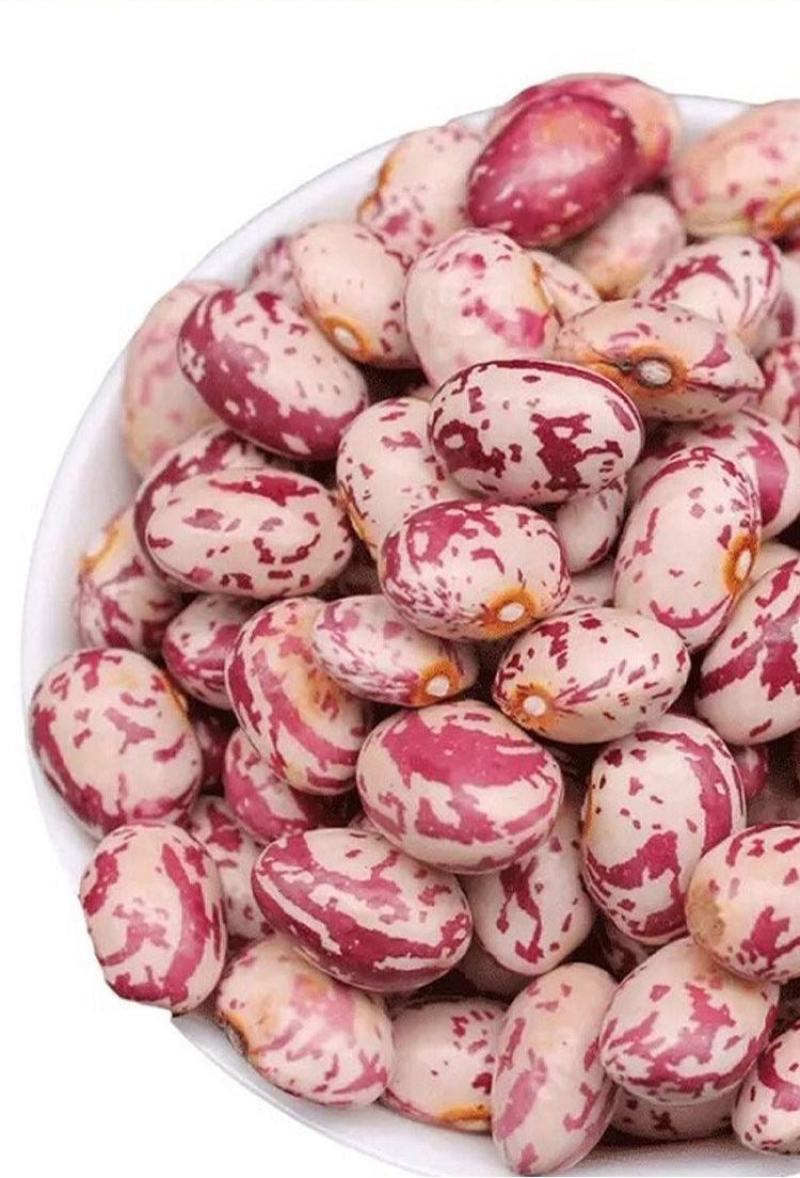 贵州今年新货雀蛋豆子农家自产花豆类云南金豆四季豆花生豆