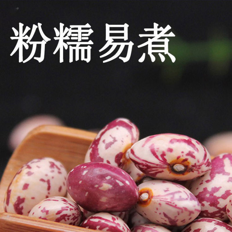 贵州今年新货雀蛋豆子农家自产花豆类云南金豆四季豆花生豆