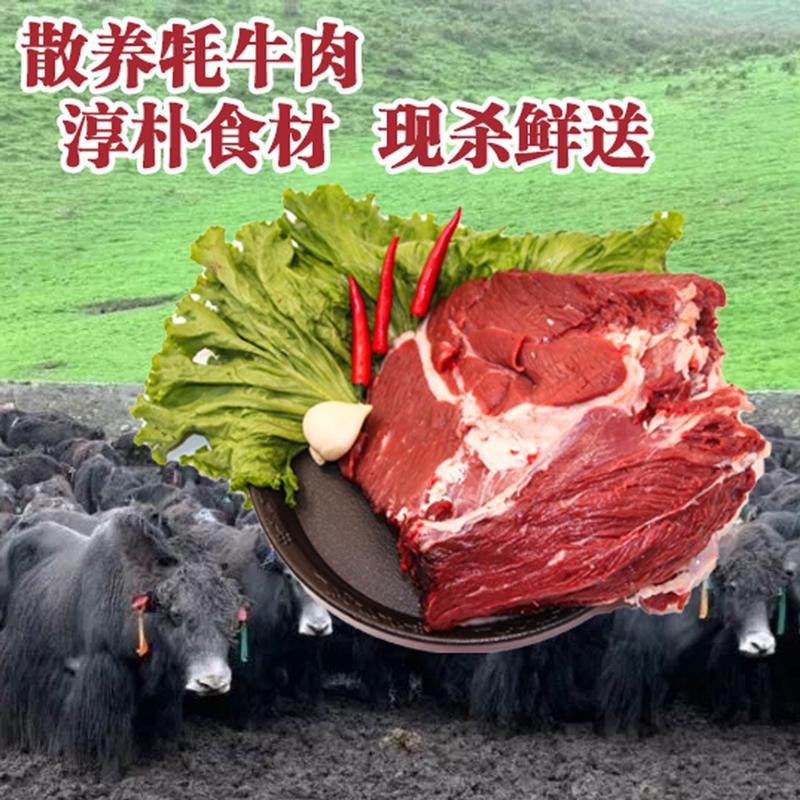 青海黑牦牛肉牛后腿肉腱子肉里脊肉牛腩肉果洛草膘肉