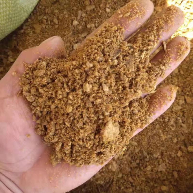 玉米油饼