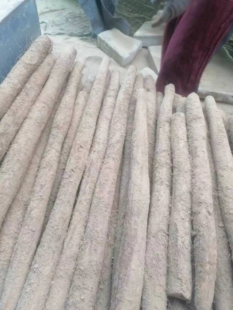 山药对接全国批发商电商接单菜山药视频看货欢迎来