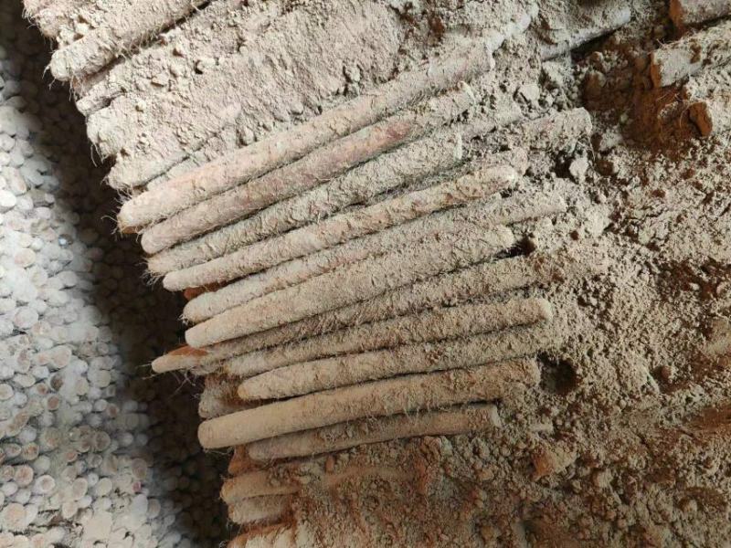 山药对接全国批发商电商接单菜山药视频看货欢迎来