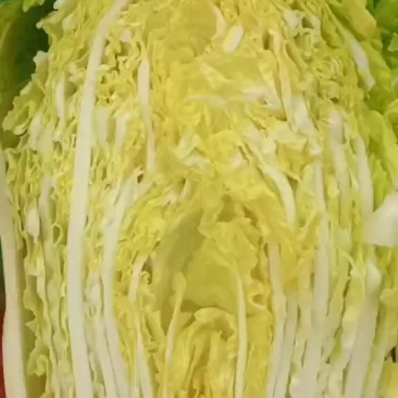 白菜