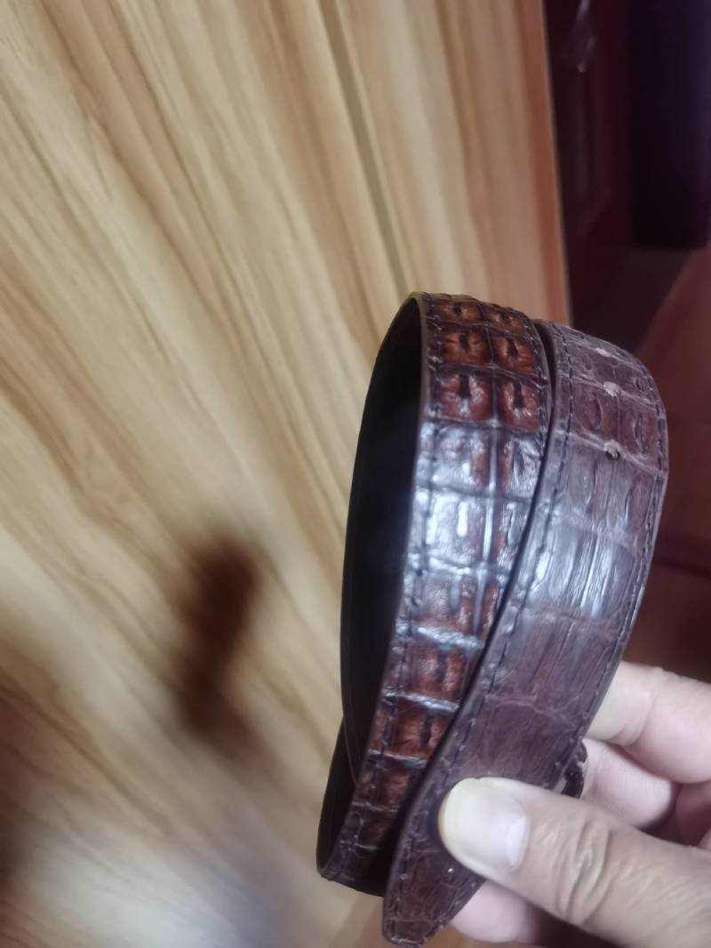 皮带