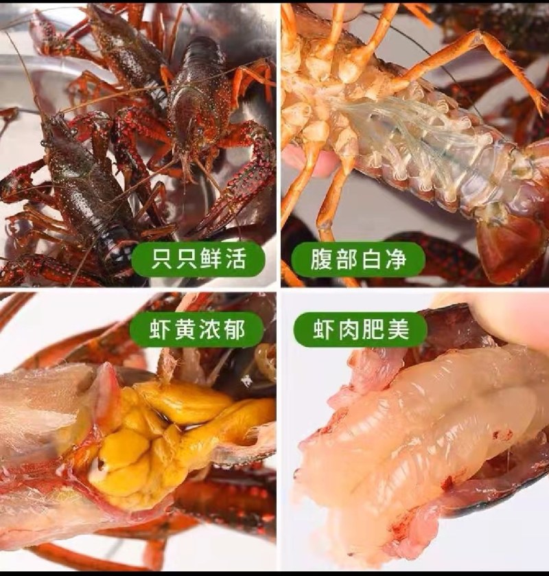 清水精养小龙虾肉质鲜嫩底板干净无淤泥，下单前请联系客服
