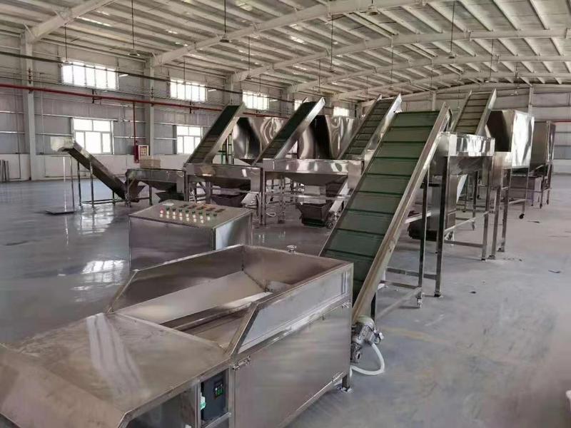 湖北随州食用菌机械设备自动鲜菇筛选机品质保证厂家直发