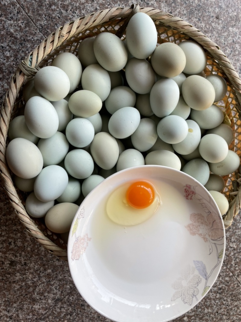 【品质保障】优森源乌骨绿壳鸡蛋，大量供应，对接全国