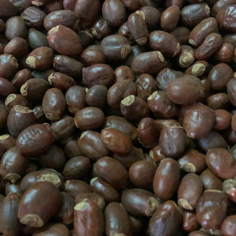 中药材荔枝核无硫熏饮片厂要求符合国家药典要求手机拍摄
