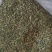 桑叶茶