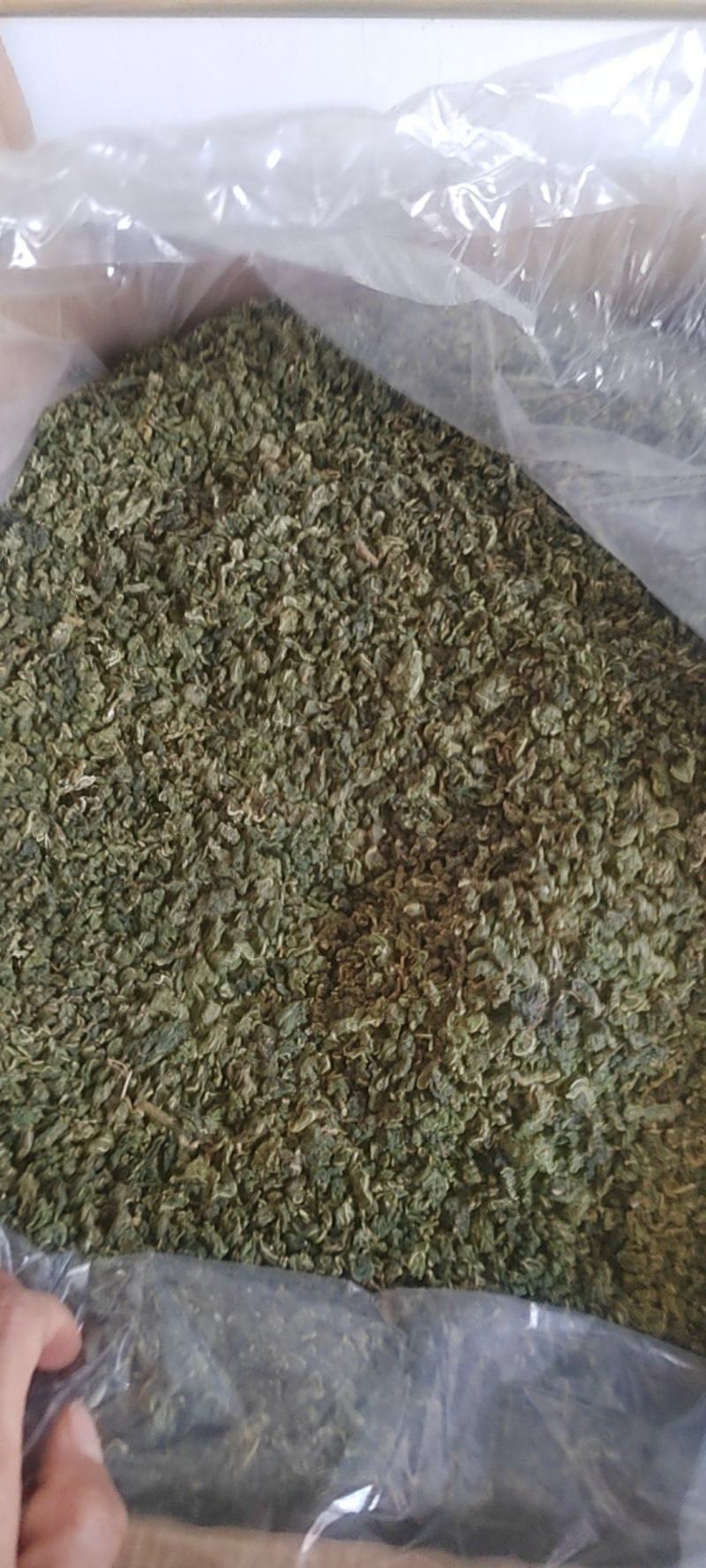 桑叶茶