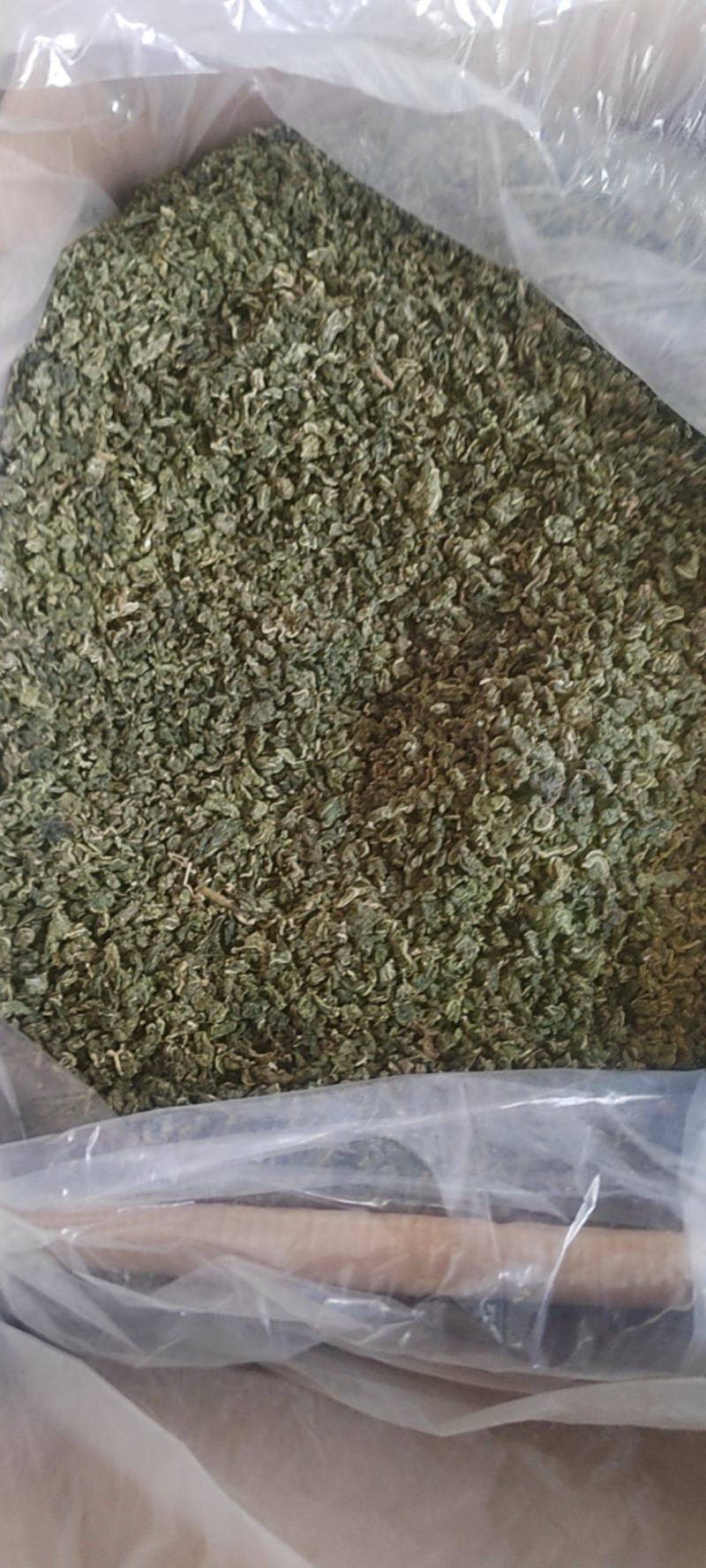 桑叶茶