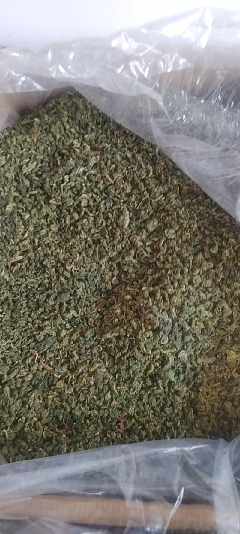 桑叶茶