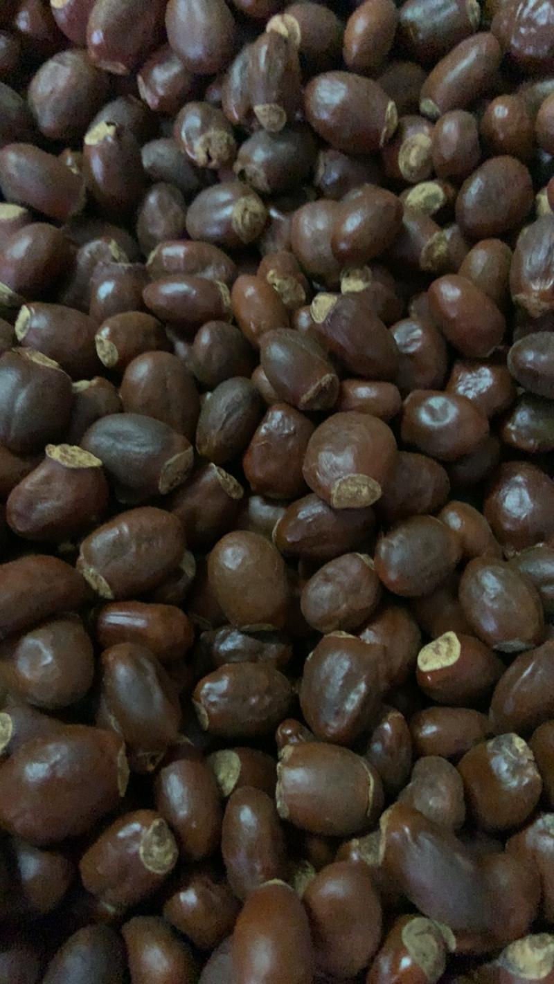 中药材荔枝核无硫熏饮片厂要求符合国家药典要求手机拍摄