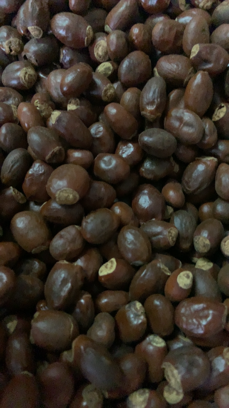 中药材荔枝核无硫熏饮片厂要求符合国家药典要求手机拍摄